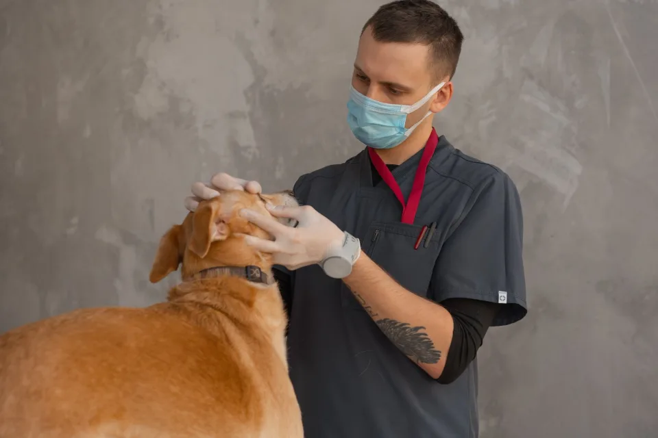 Hình ảnh tại Lê Văn Ngộ 6